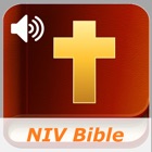 New International Version Bible (Audio)
