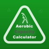 Aerobic Capacity Calculator