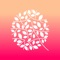 Qure is a multilingual app that provides a holistic approach to enhancing a person’s life with focus on the physical body by creating personalized exercise programs and meals taking into consideration any food restrictions or special dietary requirements