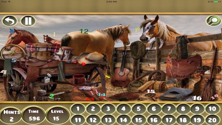 Hidden Objects:Hidden Numbers