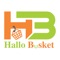 HalloBasket App is focused on online grocery retail business through Application 