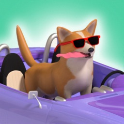 Doge Run 3D