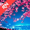 Relax Nature: Sakura