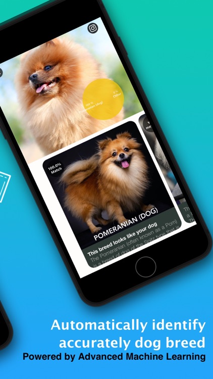 Dog Identifier - Puppy Scanner screenshot-8