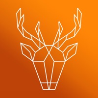 Artemis Director's Viewfinder на пк