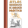Atlas Quirúrgico de Urología - UROLOGIA PRACTICA C.B.