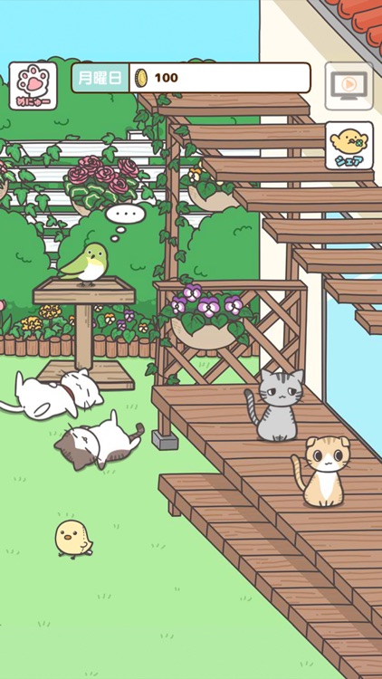 飼い猫ぐらし