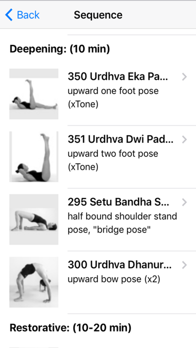 Skanda Yoga Practice screenshot 4
