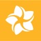 Enjoy easy and on-the-go management of your credit card with the HOCU Cards app from Honolulu FCU