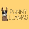 Punny Llamas