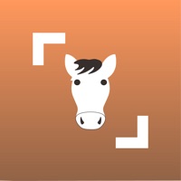  Horse Scanner Application Similaire