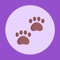 PETMOOBY is the perfect application for you that wants to take good care of your PET but it does not always remind you of the day of the vaccine and the medicines you have to give