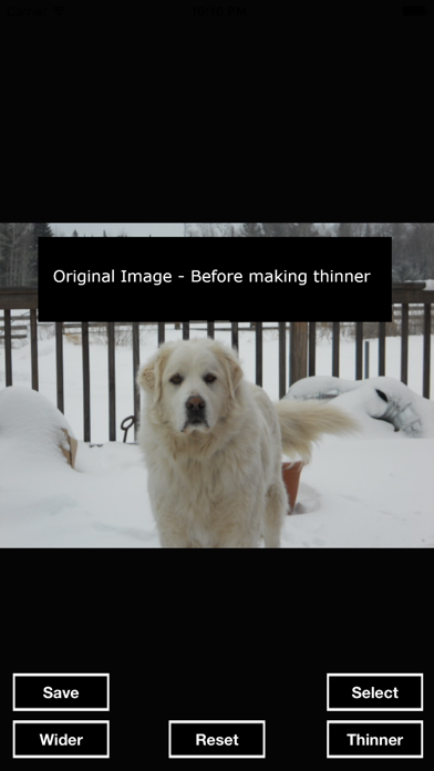 LittleThinner - Make any photo object thinner and skinnier. Screenshot 1