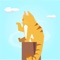 Help your cat to reach the top of the post through different cities around the globe