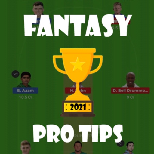 Fantasy Pro Team Tips