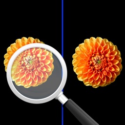 picFind - Find some different