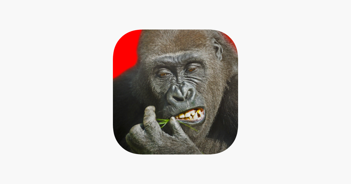 Flying Gorilla On The App Store - roblox gorilla image id