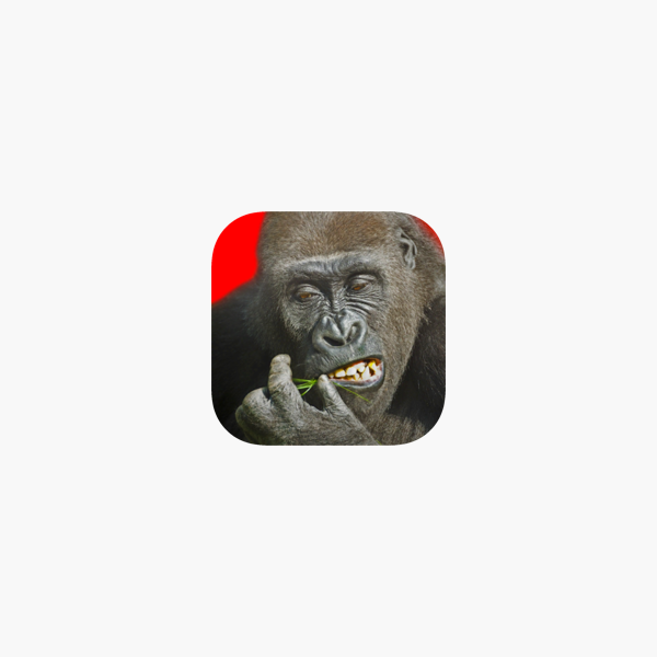 Flying Gorilla On The App Store - roblox gorilla image id