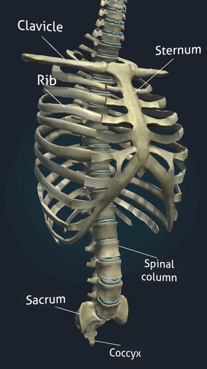 Human Anatomy 3D screenshot-5