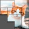 Pieces Pictures is a jigsaw puzzle game that fills an area using blocks of different shapes and stunning world-famous HD images