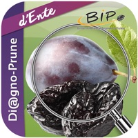 Di@gno-Prune pour PC