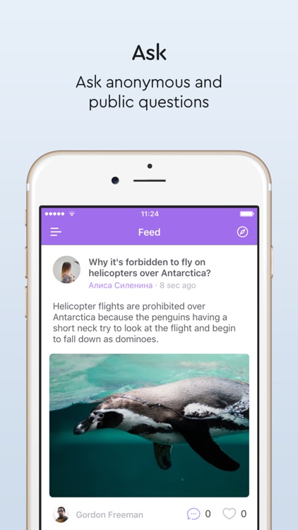 Slon – Q&A social network