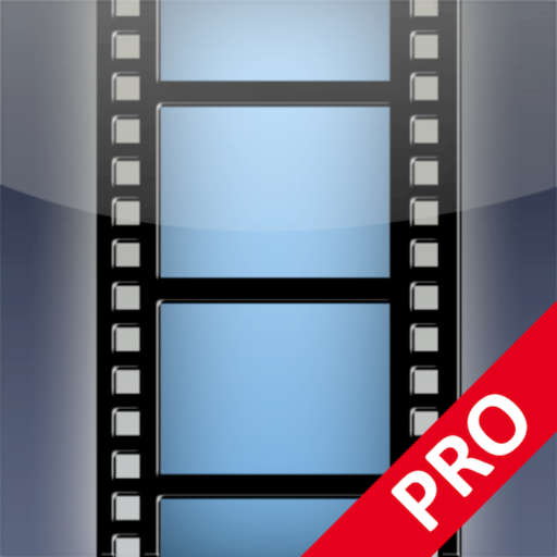 debut professional by nch software