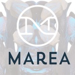 SIK - Marea
