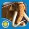 Travel back to the Ice Age and join Woolly Mammoth in the cold, windy plains of Europe