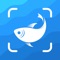 Instantly identify fishes