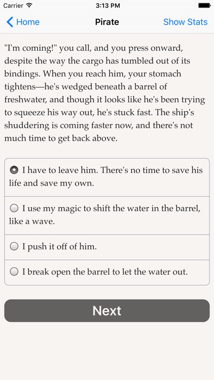 Choice of the Pirate screenshot-1