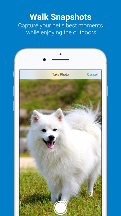 Tractive Dog Walk