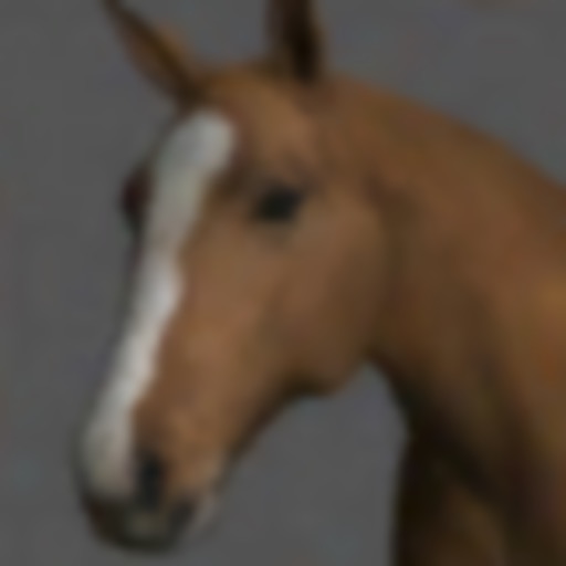 Horse Pose Tool icon