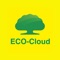 【 CUB ECO-Cloud 能源管理】便利、實用又貼心！輕鬆掌握國泰世華銀行用電資訊，與試算最適和分行用電的用電方案。