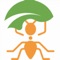 Little Ants Preschool believes that communication between parents, school and teachers is an important part of the education