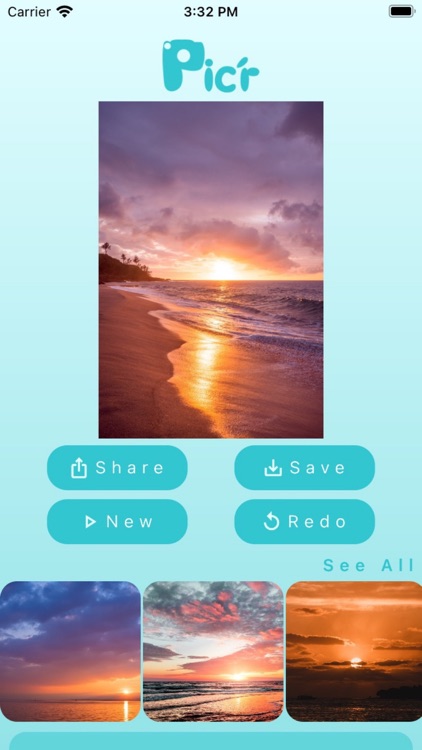 Pic'r: Photo Sorting Tool