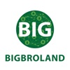 Bigbroland.com