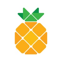 Pineapple - Website Builder