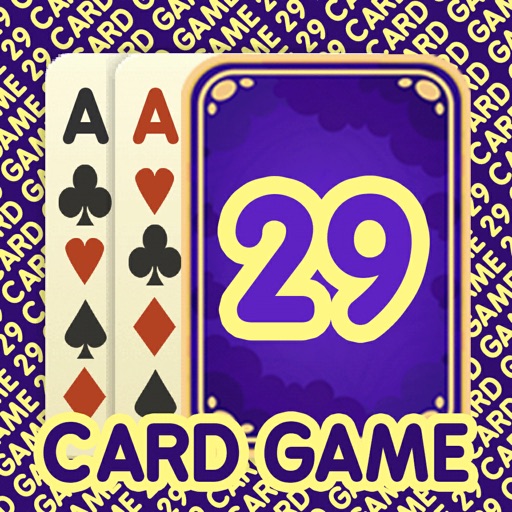 29 Card Game * PLUS