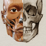 3D Anatomy for the Artist 2
