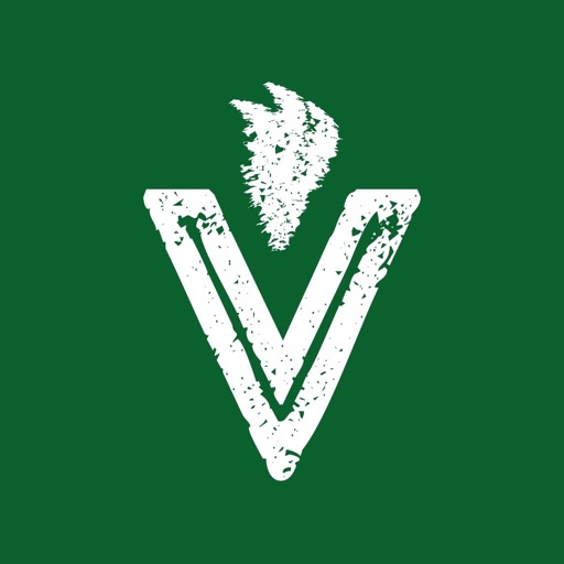 VEDGE icon