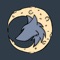 ► WHAT IS THIS GAME