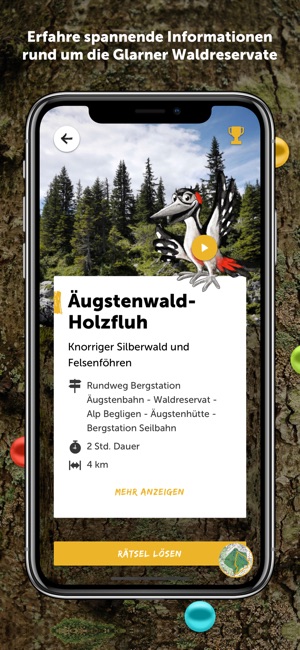 Glarner Waldperlen(圖2)-速報App