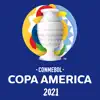 Copa América Oficial App Negative Reviews