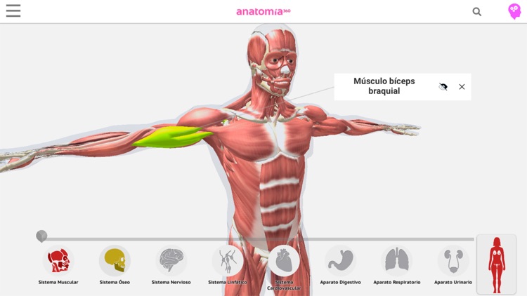 Anatomía 360 screenshot-3