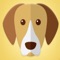 Do you want to know what dog breed you are