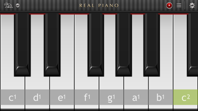Real Piano™ screenshot1