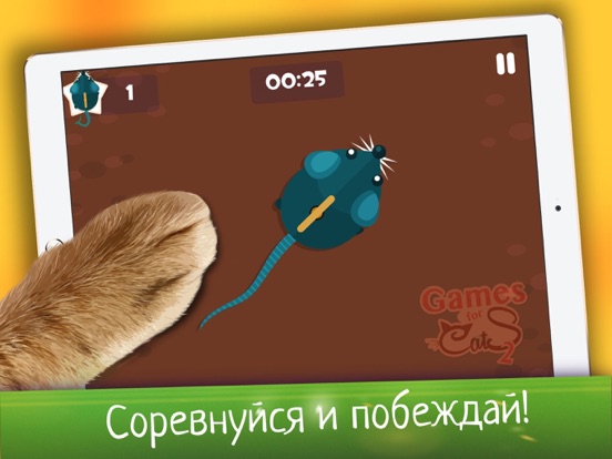 Скачать Игры для Котов