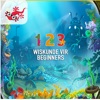 Wiskunde vir Beginners