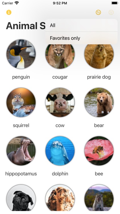 Discovery: Animal Sounds! by Ling Yang